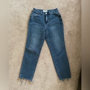 PacSun Mom Jean Size 24